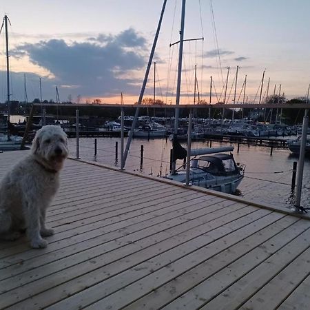 Hausboot Gluecksmomente Mit Dachterrasse In Schleswig Am Ostseefjord Schlei Luaran gambar