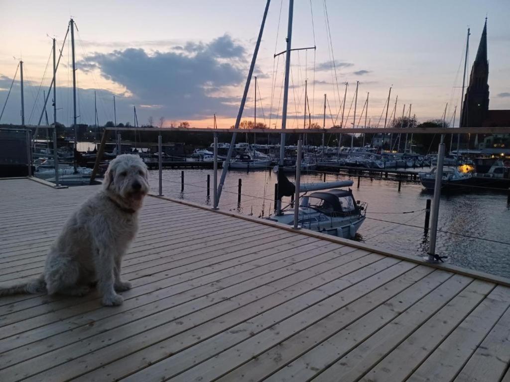 Hausboot Gluecksmomente Mit Dachterrasse In Schleswig Am Ostseefjord Schlei Luaran gambar